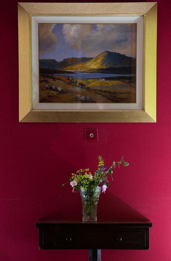 Ross Castle B&B Oldcastle Экстерьер фото