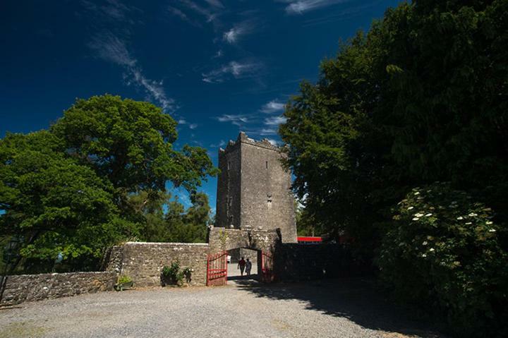 Ross Castle B&B Oldcastle Экстерьер фото