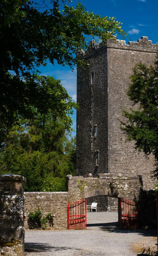 Ross Castle B&B Oldcastle Экстерьер фото